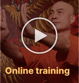 Shaolin kung fu online classes
