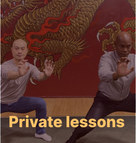 Kung fu private lessons